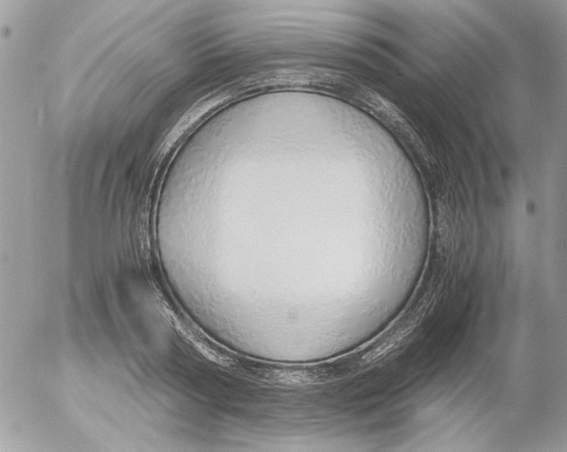 X0000052550794200507291914