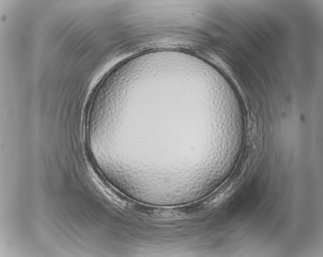 X0000052550795200507291914