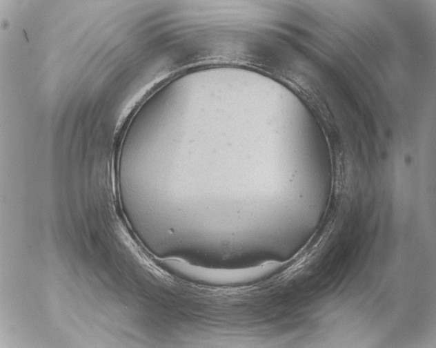 X0000052550796200507291914