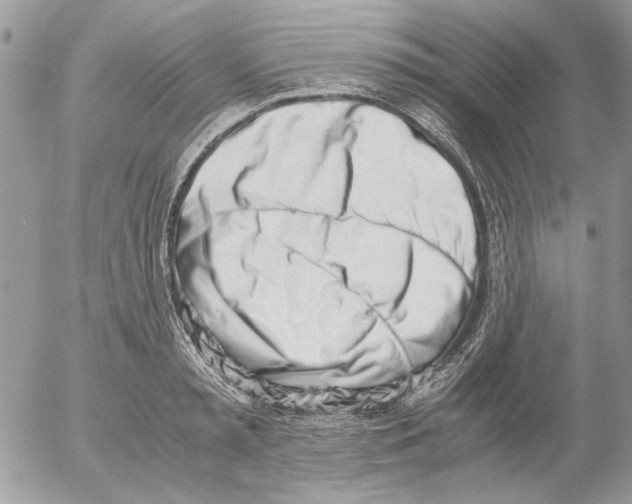 X0000052550797200507291914