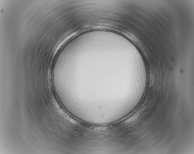 X0000052550798200507291914