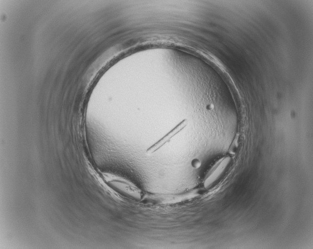 X0000052550799200507291914