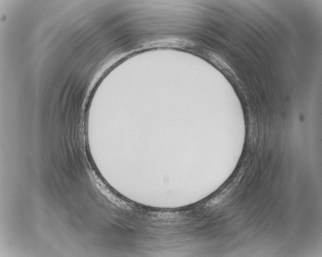 X0000052550800200507291914