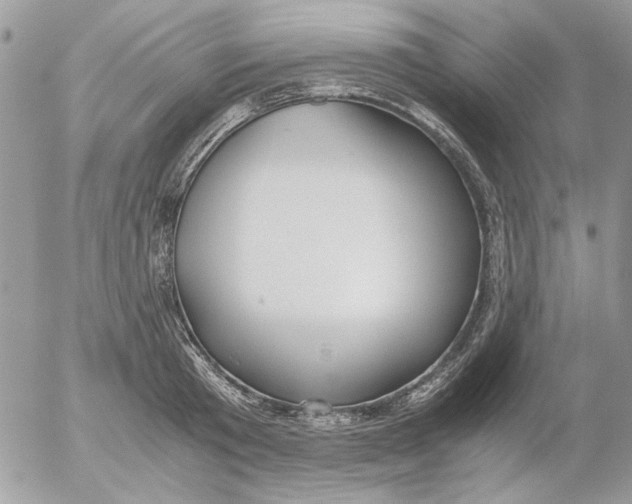 X0000052550801200507291914