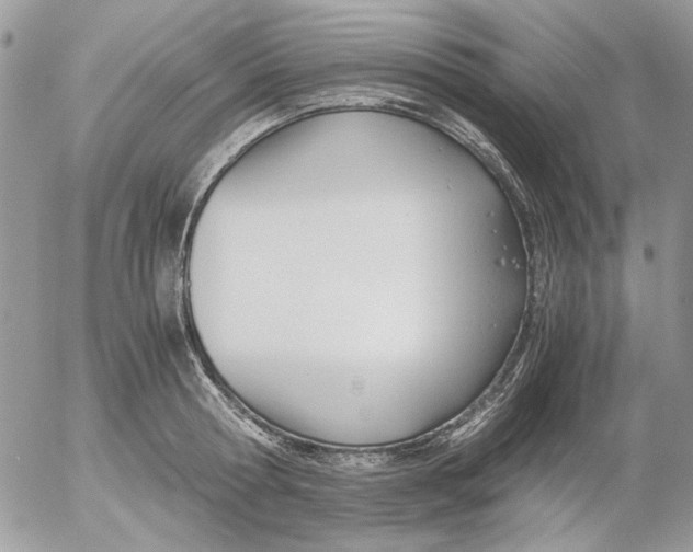 X0000052550802200507291914