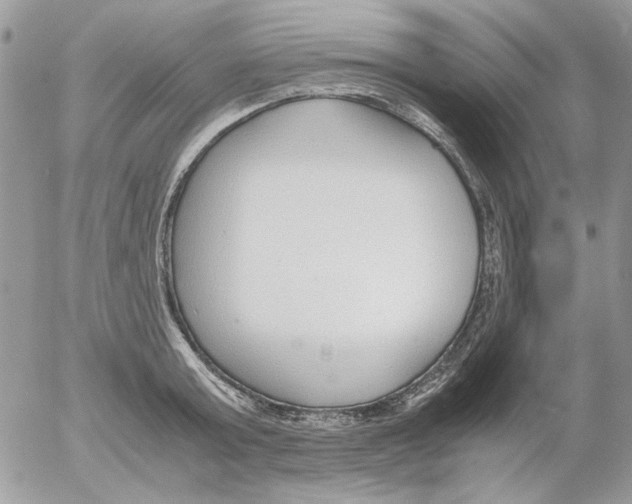 X0000052550803200507291914