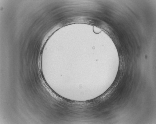 X0000052550804200507291914