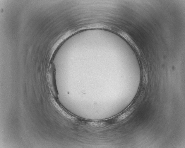 X0000052550805200507291914