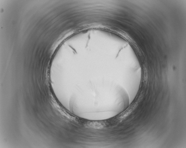 X0000052550806200507291914