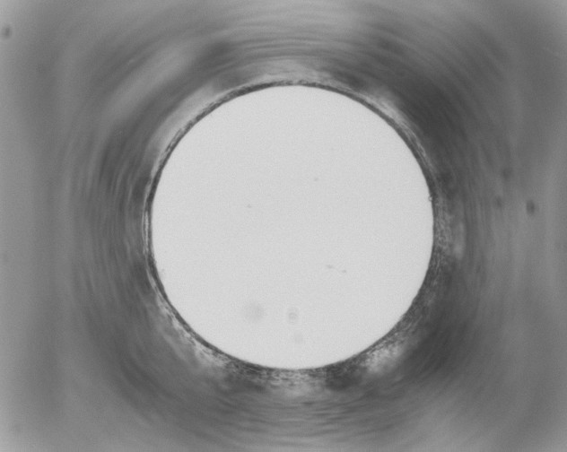 X0000052550807200507291914