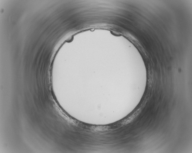 X0000052550808200507291914