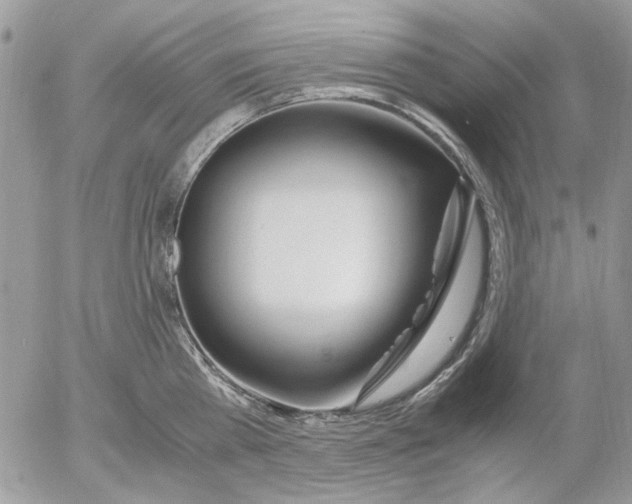 X0000052550809200507291914