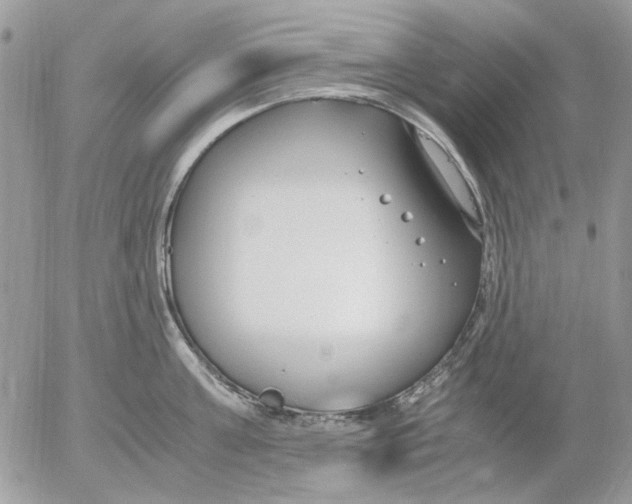 X0000052550811200507291914