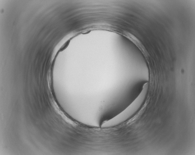 X0000052550812200507291914