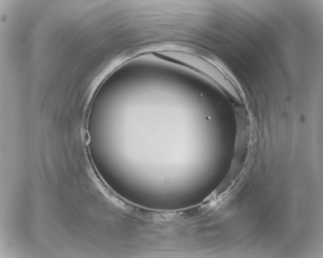 X0000052550813200507291914