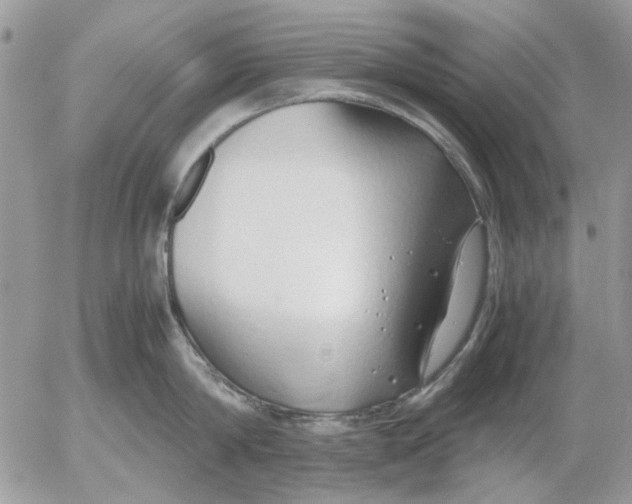 X0000052550814200507291914