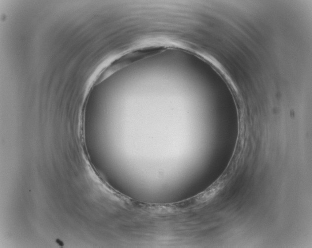 X0000052550815200507291914