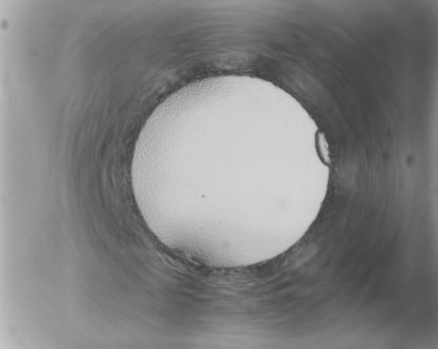 X0000052550817200507291913