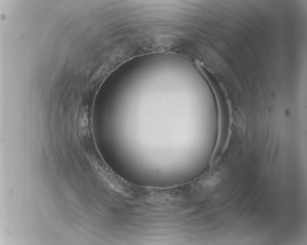 X0000052550818200507291913