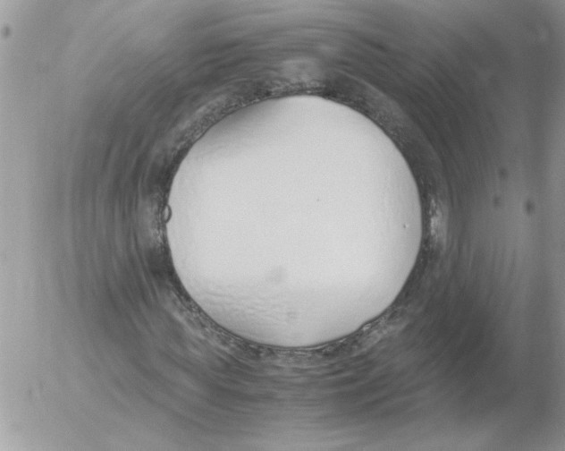 X0000052550819200507291913