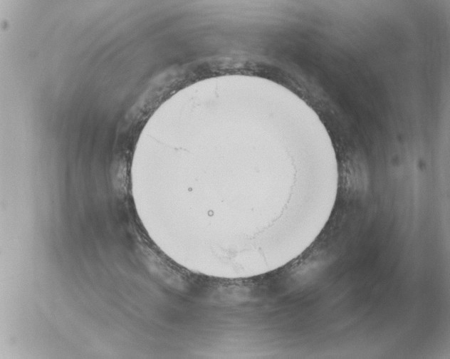 X0000052550820200507291913