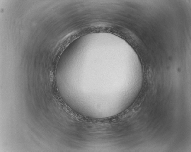 X0000052550821200507291913