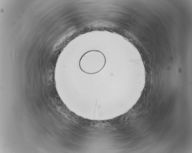 X0000052550824200507291913