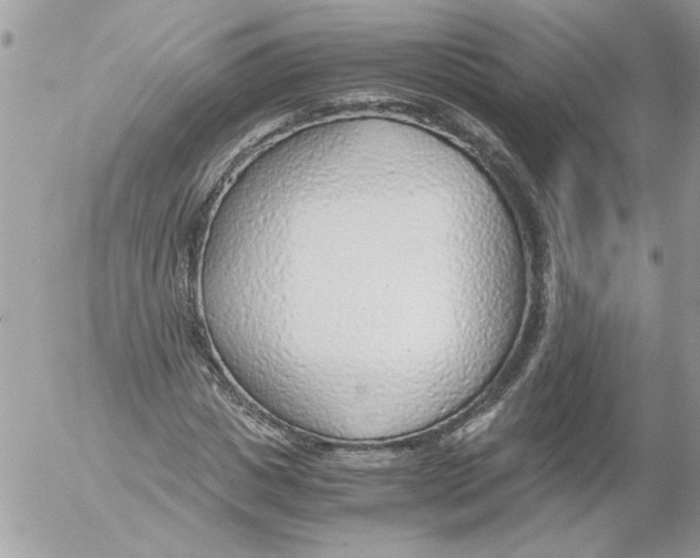 X0000052550825200507291913