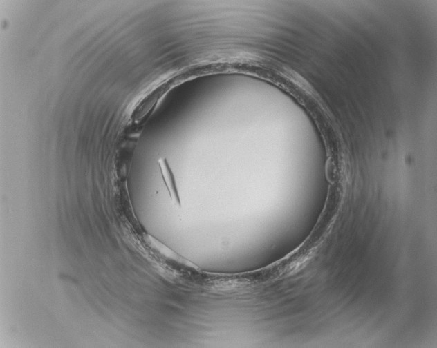 X0000052550826200507291913