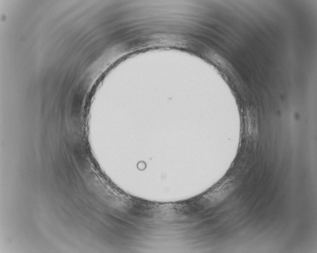 X0000052550828200507291913