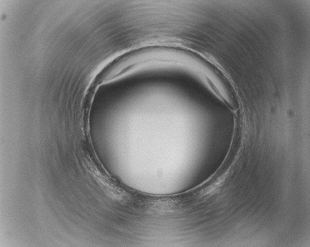 X0000052550830200507291913