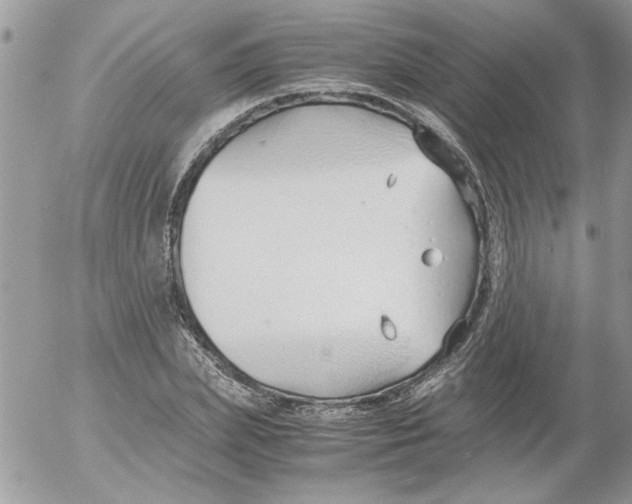 X0000052550831200507291913