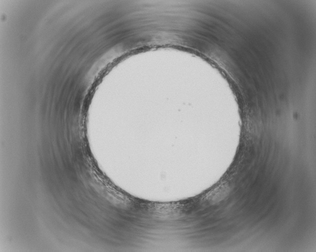 X0000052550832200507291913