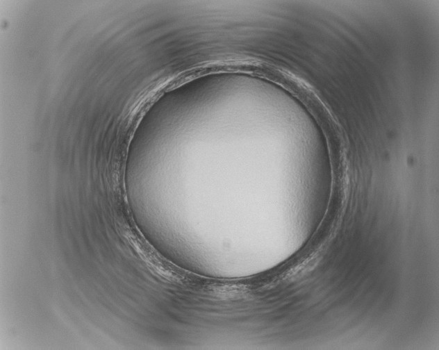 X0000052550833200507291913