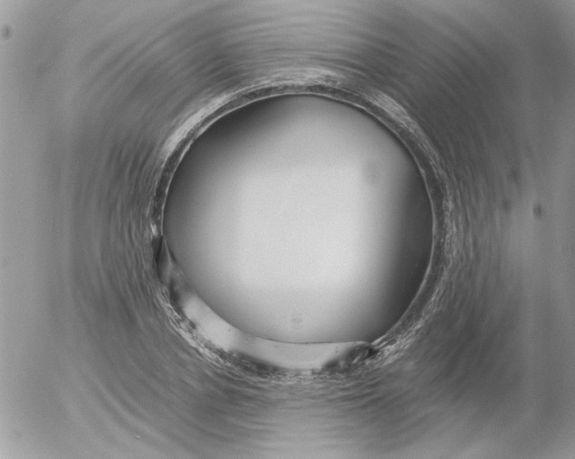 X0000052550834200507291913