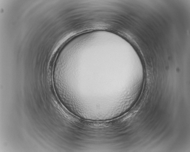 X0000052550835200507291913