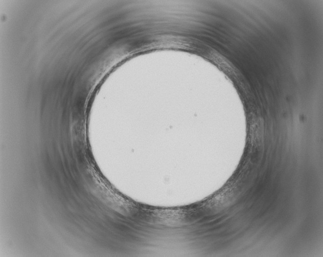 X0000052550836200507291913