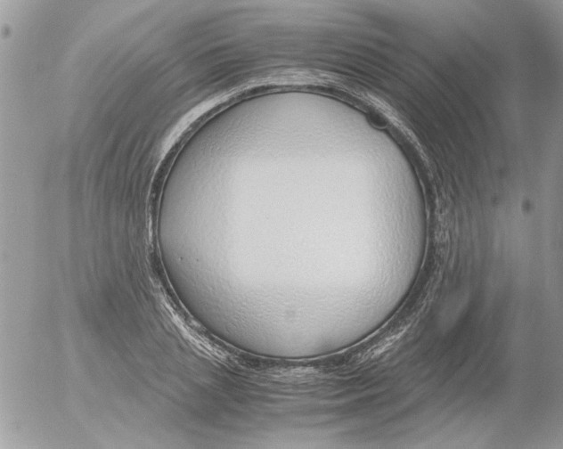 X0000052550837200507291913