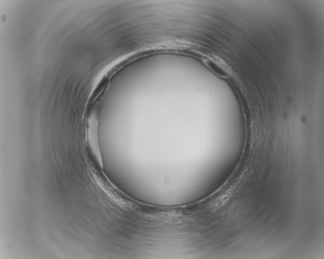 X0000052550838200507291913