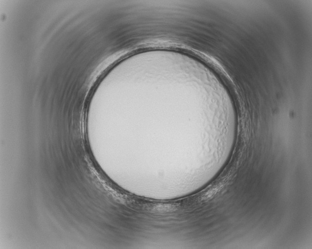 X0000052550839200507291913