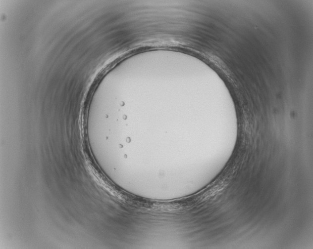 X0000052550840200507291913