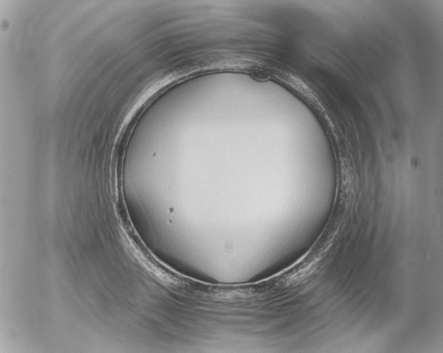 X0000052550843200507291914