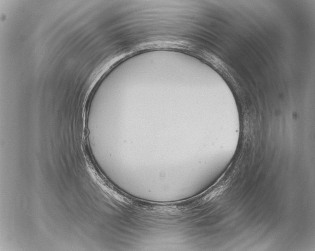 X0000052550844200507291914