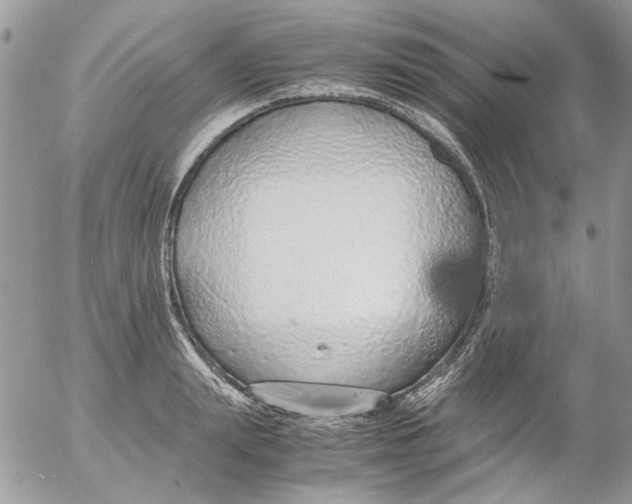 X0000052550847200507291914