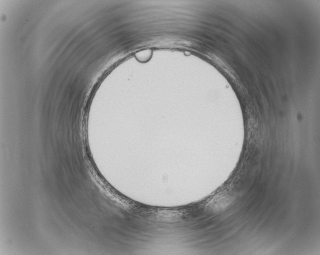 X0000052550848200507291914