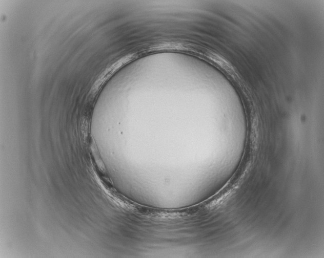 X0000052550849200507291914