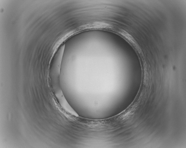 X0000052550850200507291914