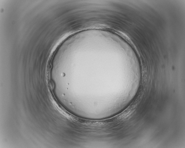 X0000052550851200507291914