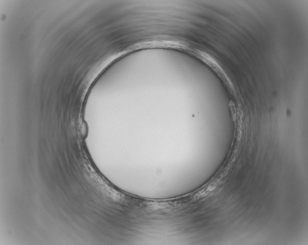 X0000052550852200507291914