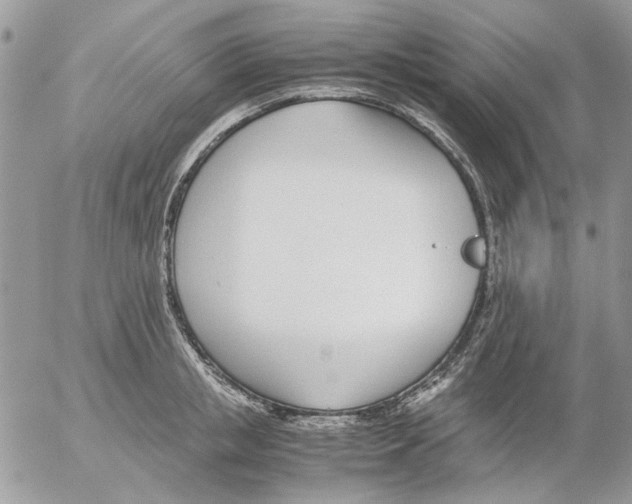 X0000052550853200507291914